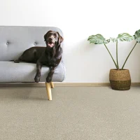 Landmark Dashing Carpet